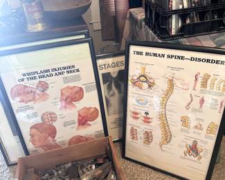 Spinal educational posters
Box of block print newspaper letters