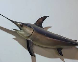 17 - Monumental Sword Fish Mount

