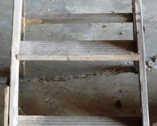 107 - Wooden Step Ladder
