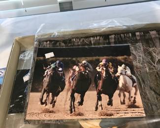 Photo of racing horses