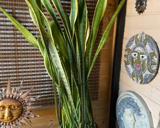 Large Snake plant,  $45