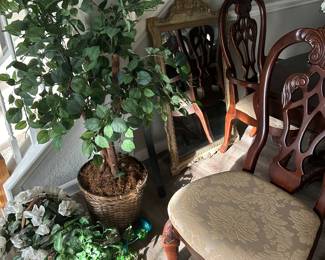 Mirror, artificial plants