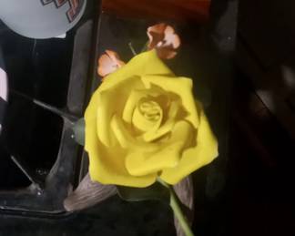 La Bohem rose 50.00