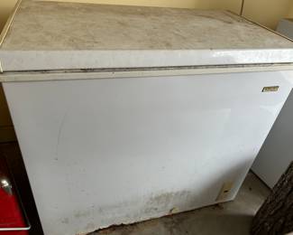 Freezer in garage