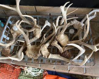 Screen porch off kitchen 