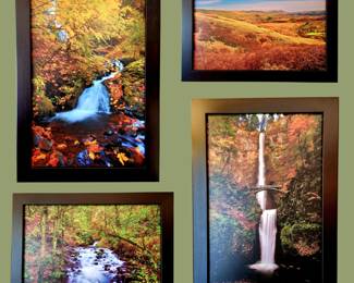 Photographs on Canvas