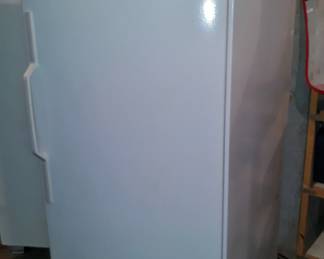 Upright freezer