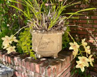 Beautiful Flowers & Pot