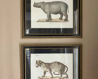 Jungle animal prints