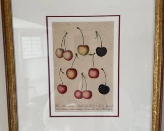 Cherries by Hitchcock 1854, Original Color