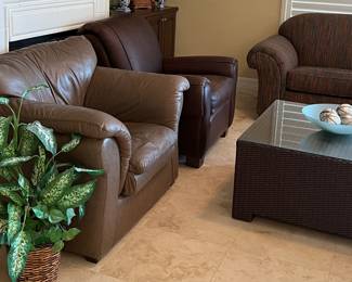 Arm Chairs, Silk Plant