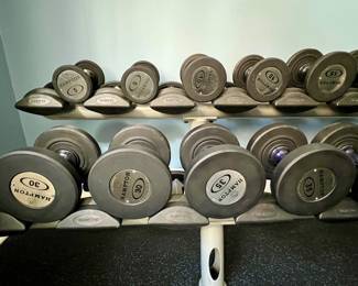 Hudson weights 