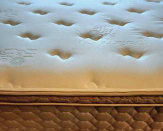 QUEEN SIZE Bamboo Matt/Box Set bid #82