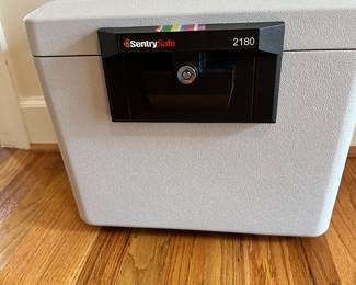 Security safe