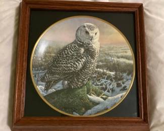 Noble Owls Of America Series Morning Mist Plate By Spode