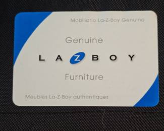 Both sofa and chair make into sofa beds - Both Lazyboy