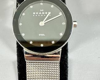 Skagen Watch