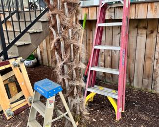 Werner 6 Ft. Folding Ladder, Werner Step Stool