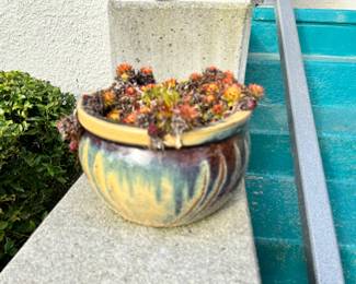 Yellow, Green, & Brown Drip Glaze Plater with Succulents