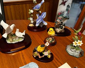 A lovely little bird collection! 