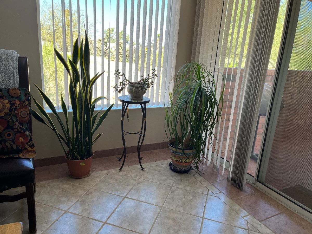 Ellie Barber Estate Sales in Green Valley, AZ starts on 3/7/2024