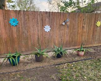 Yard Decor - Plants