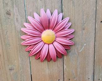 Another Outdoor Flower