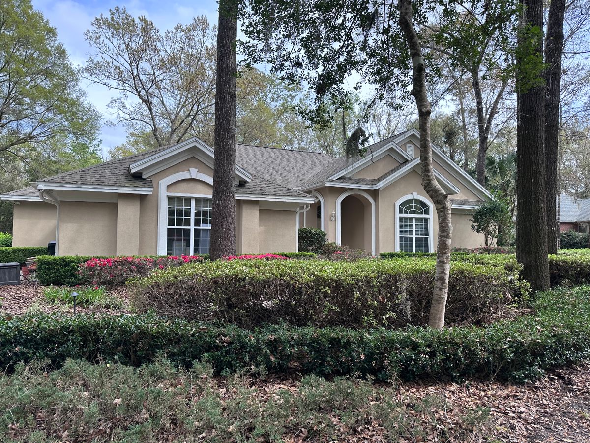 House full of treasures 