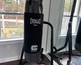 Everlasting punching bag 