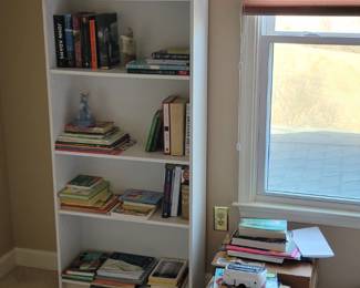 white laminate book case, floral arrangement, children's books