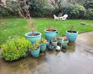 lots of outdoor potted plants- must take dirt and plant 