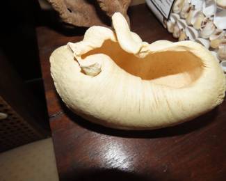 Skeleton of a whales ear.