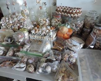 Shells, shells and shells.