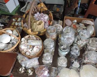 Shells, shells and shells.