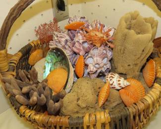 Shells, shells and shells.