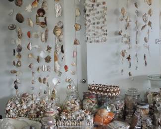 Shells, shells and shells.
