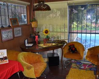 Living Room Overview (No access to backyard)