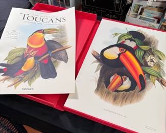 Boxed set of John Gould The Family of Toucans set of plates (appears complete), very nice condition 13" x 20"