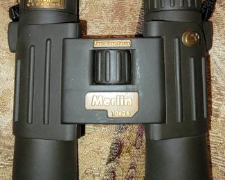 Steiner Merlin binoculars