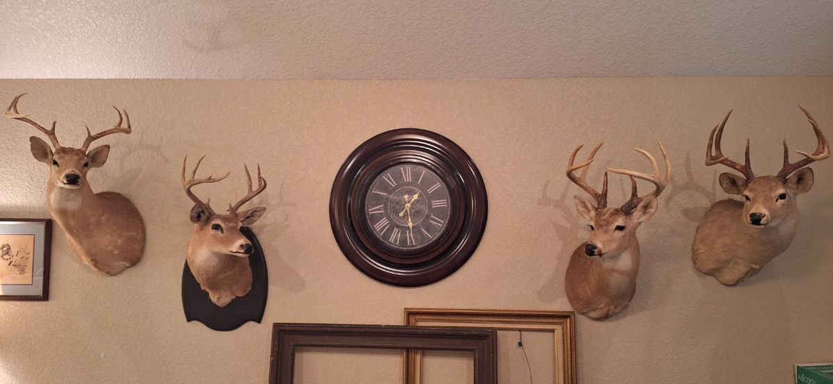 Jarrell Estate Sale in Bay City, TX starts on 3/22/2024