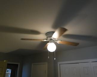 Ceiling fan, complete with light fixture.