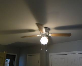 Ceiling fan does have adjustable blades to make it off white.