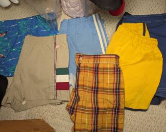 Vintage Mens Bathing Suits