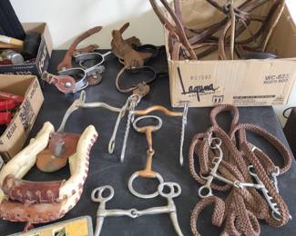 horse tack