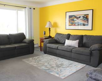 Framed Art, Sofa and Loveseat