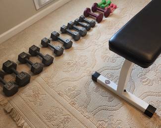 Handweights and Bench 