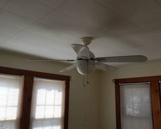 Illuminated ceiling fan