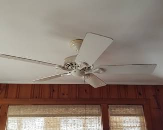 Illuminated ceiling fan