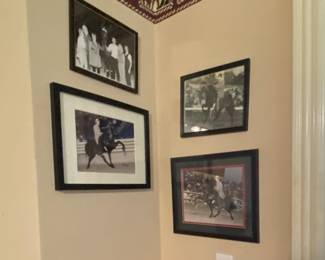 Walking Horse Pictures