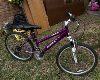Ladies bike
